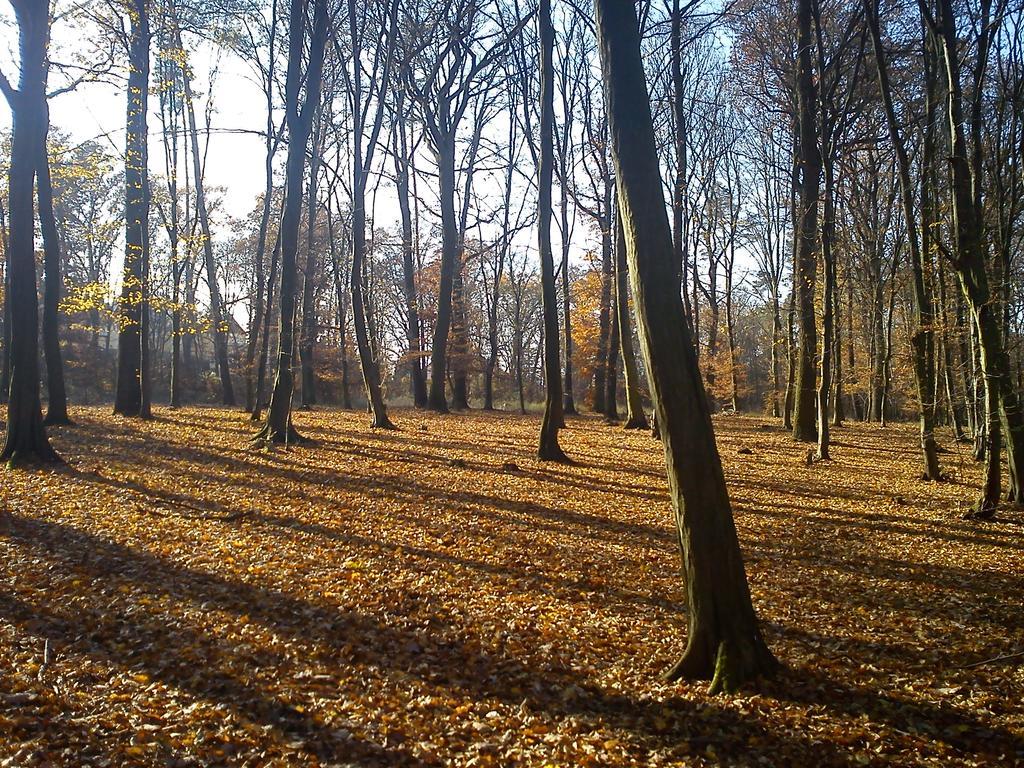 Chodov Apartment *